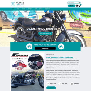 Agia Paraskevi Web Site Developers